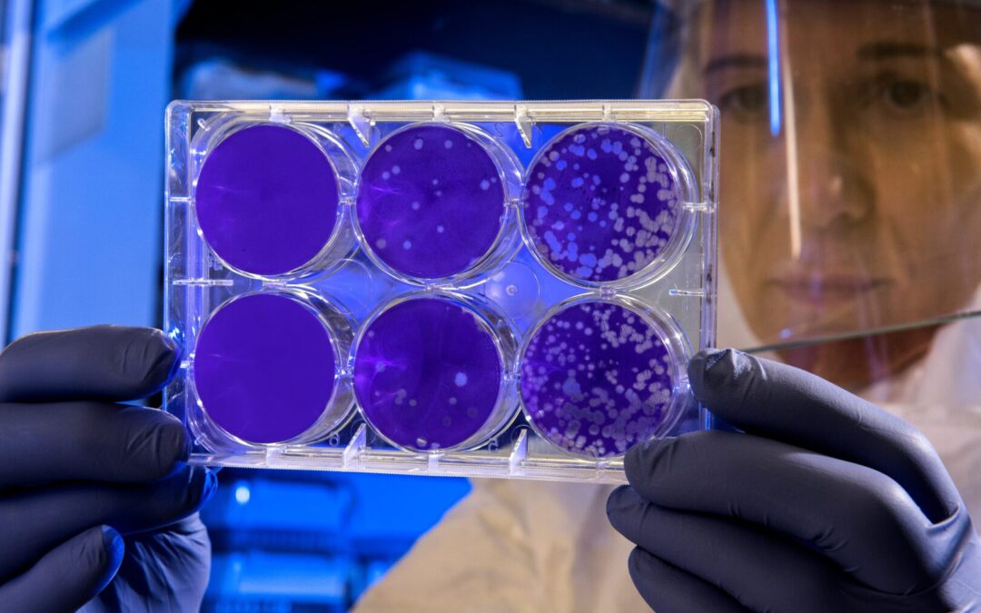 Research in Copper Peptides and Skin, Hair and Nail Health