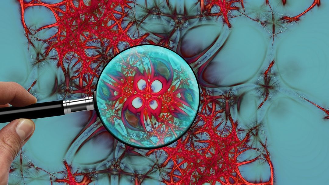 Thymosin Beta 4 (TB-500) and Tissue Repair