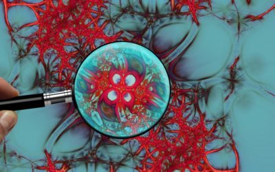 Thymosin Beta 4 (TB-500) for Tissue Damage Repair