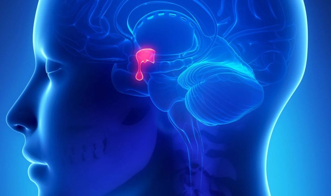 What Is Sermorelin Peptide - Research, Benefits, Side Effects, Buy (2021)