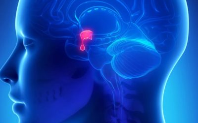 How Sermorelin Increases Natural Growth Hormone Levels