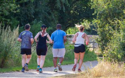 Impacts of Adipotide Peptides in Fat Loss