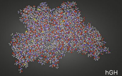 Overview of Growth Hormone Releasing Peptide-2 (GHRP-2)