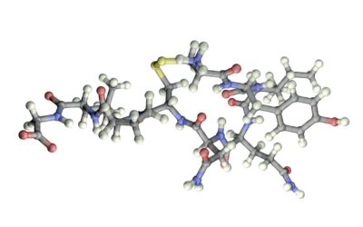 Oxytocin Peptide and Studies in Labor Induction