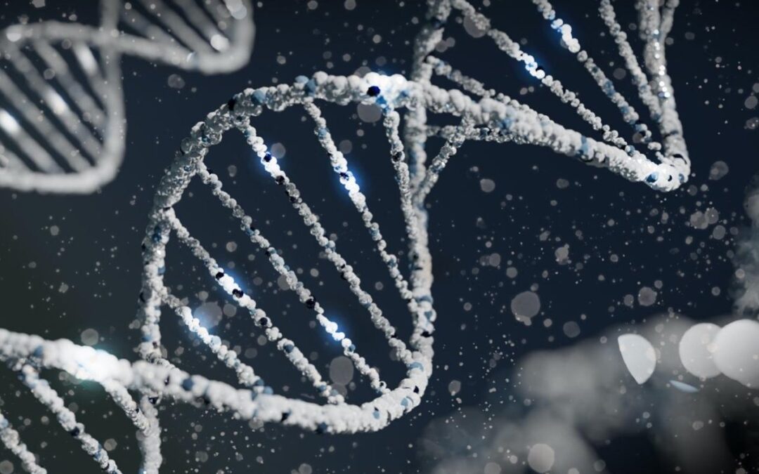 Chonluten Peptide and its Role in Gene Expression
