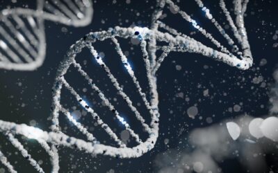 Chonluten Peptide and its Potential in Gene Expression