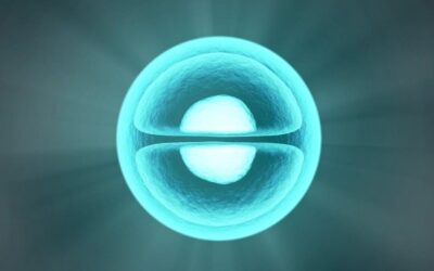 Proxofim Peptide Studies in Cell Regeneration and Tissue Health