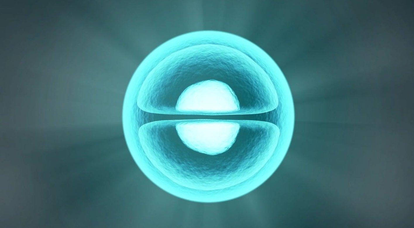 Proxofim Peptide in Cell Regeneration and Tissue Health