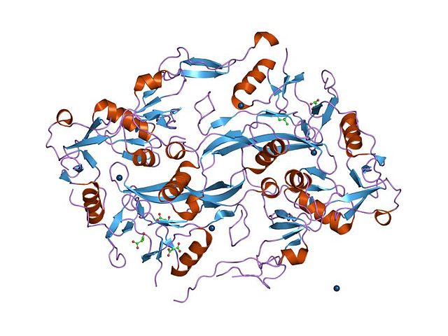 follistatin structure follistatin structure