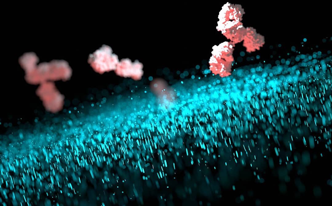 Livagen Peptide Research in Chromatin Decondensation and Immune Response