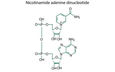 NAD+ Peptide: Research in Enzymatic Reactions and Neuroprotection