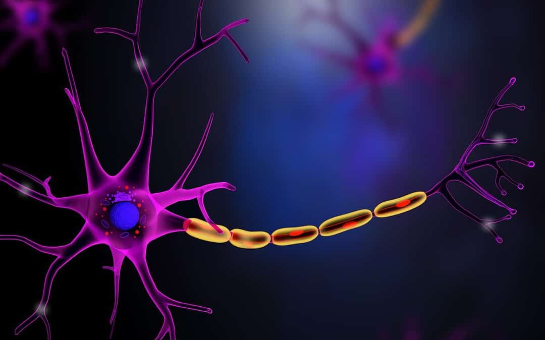 PE-22-28 Peptide Depression and Neurogenesis Research