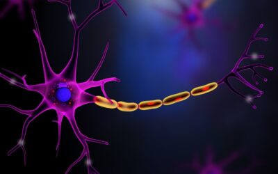 PE-22-28 Peptide: Depression and Neurogenesis Research