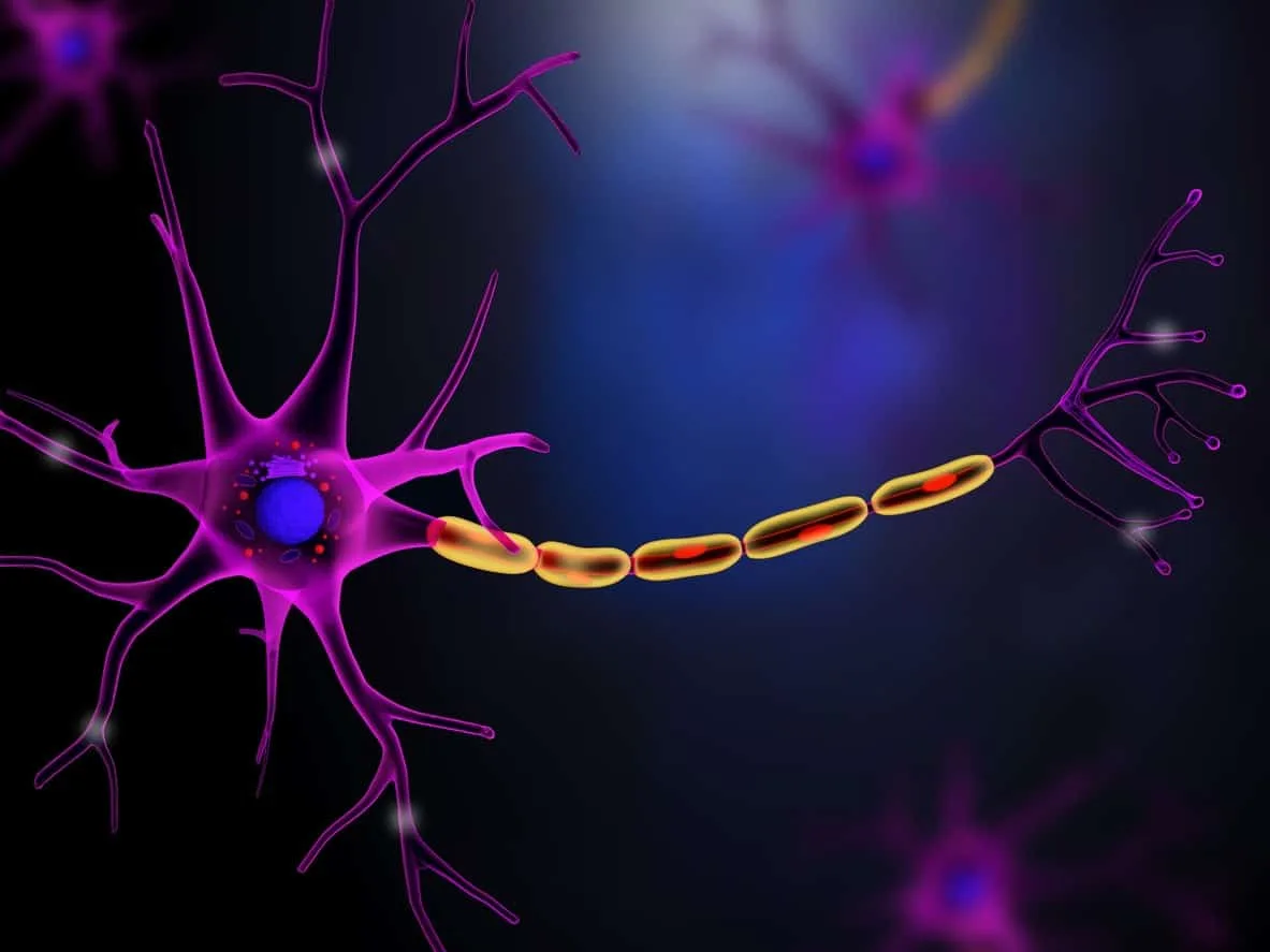 PE-22-28 Peptide Depression and Neurogenesis Research