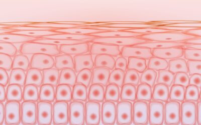 Palmitoyl Tripeptide-5 (Syn-Coll) Peptide: Research in Skin Cell Proliferation and Rejuvenation