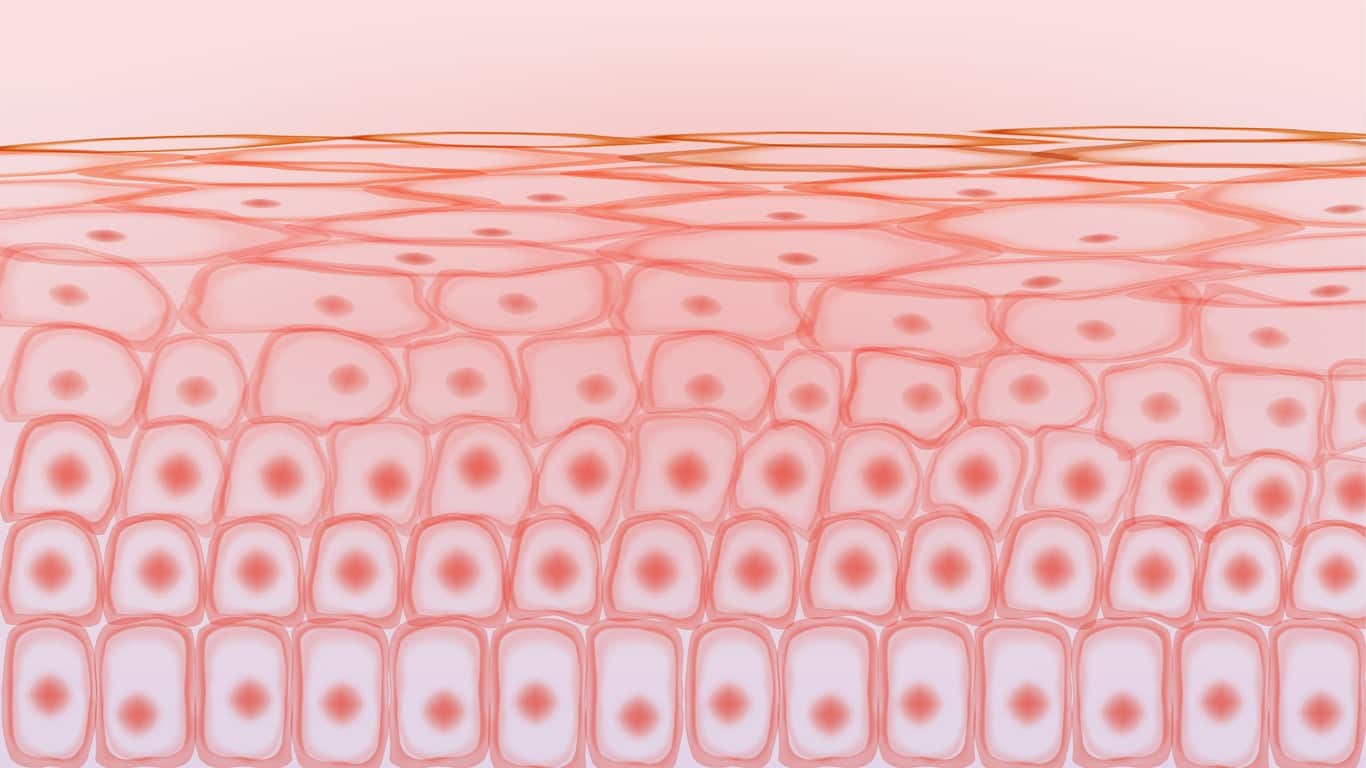 Palmitoyl Tripeptide-5 (Syn-Coll) Peptide Research in Skin Cell Proliferation and Rejuvenation