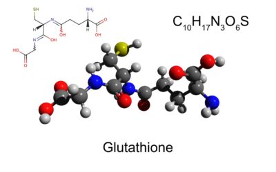 Investigating L-Glutathione Peptide in Cell Aging and Immunity Studies