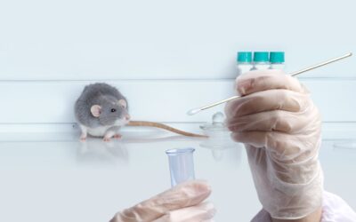 Semaglutide Research Advances in Cardioprotection, Neurobiology, and Appetite Suppression