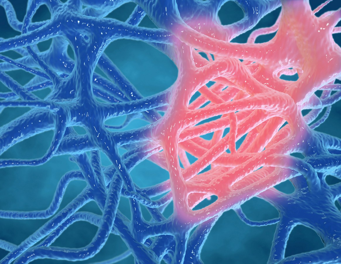 Exploring KPV Peptide and Inflammation