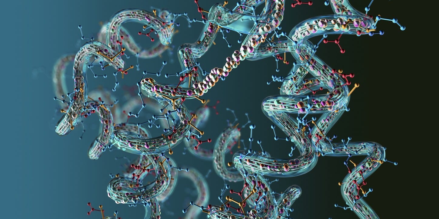 AICAR Peptide: The Energy Metabolism Of Different Cell Types
