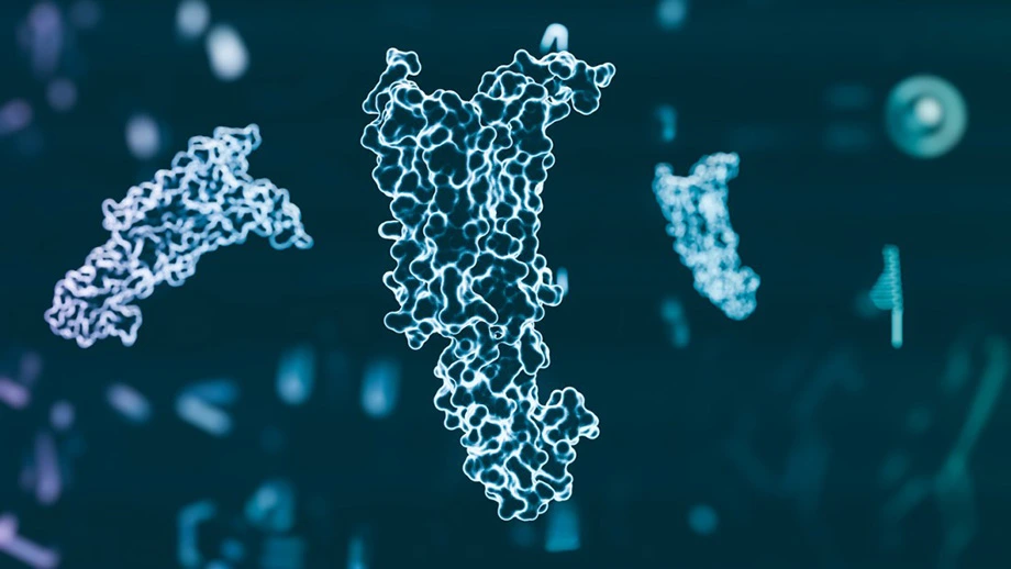 Cartalax Peptide: Potential Implications for Cellular Aging, Renewal, and Resilience to Stress