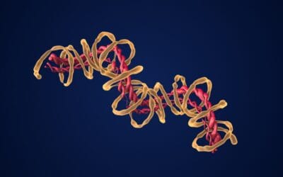 Potential Synergistic Actions with Mod GRF (1-29) & GHRP-6 Blend