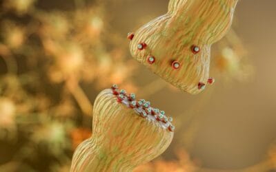 Emideltide (DSIP) Interactions with CNS Neurotransmitters