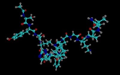 Melanotan II Interactions with Melanocortin Receptors