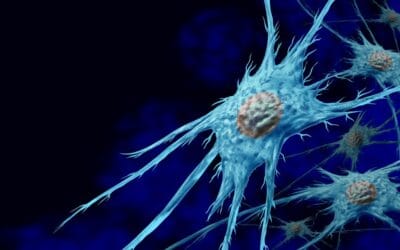 Lipopeptide (Biopeptide EL) Actions on Fibroblasts & Melanocytes