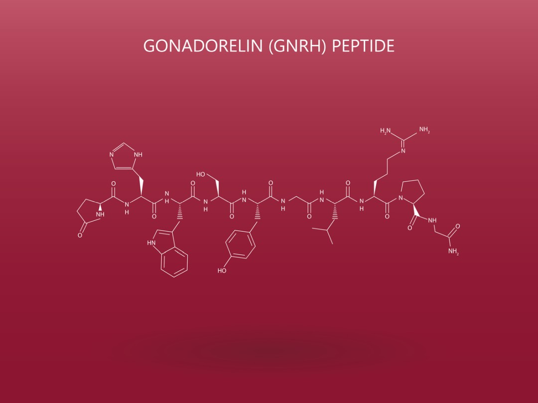 Gonadorelin’s Potential Interactions With The Hypothalamic-Pituitary-Gonadal Axis
