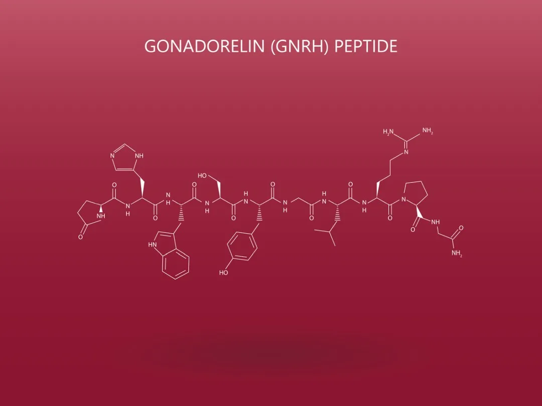 Gonadorelin’s Potential Interactions With The Hypothalamic-Pituitary-Gonadal Axis