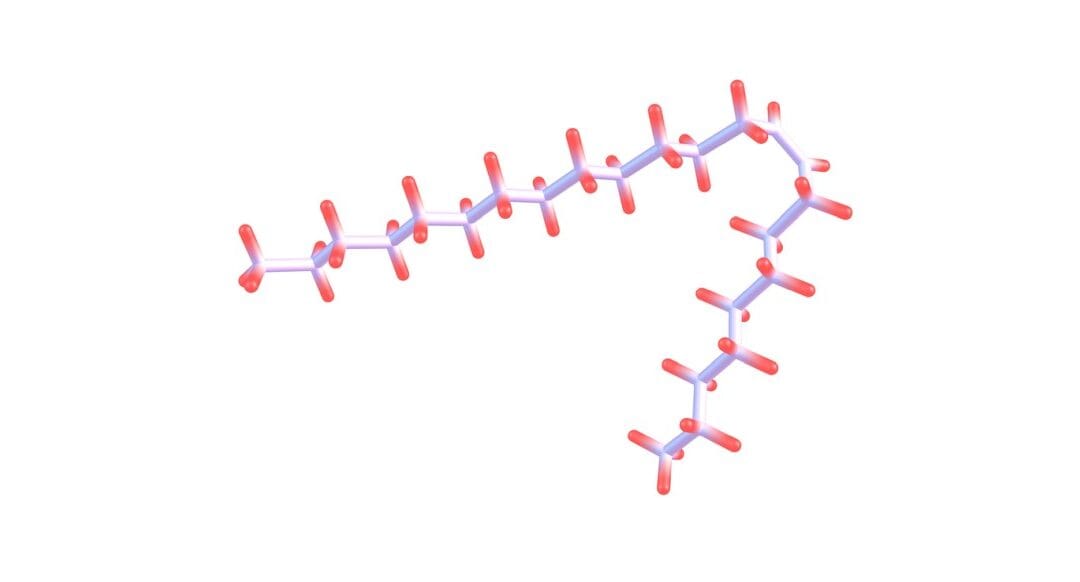 Palmitoyl Tripeptide-1: Potential Regenerative and Protective Actions on Skin Cells