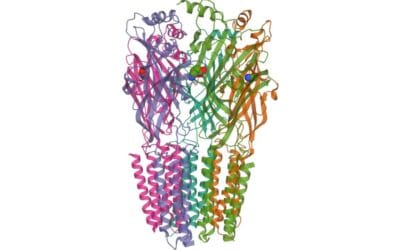 T-34 tripeptide (Chonluten) Actions on Oxidative Stress and Inflammation
