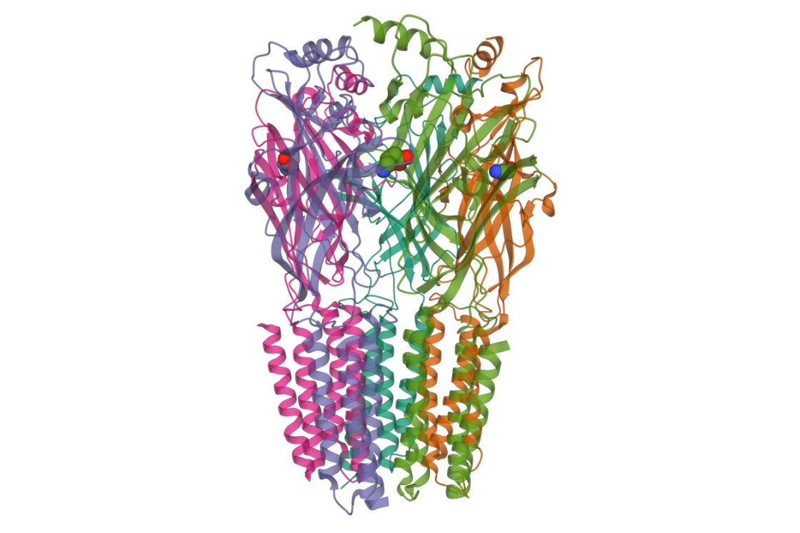 T-34 tripeptide (Chonluten) Actions on Oxidative Stress and Inflammation