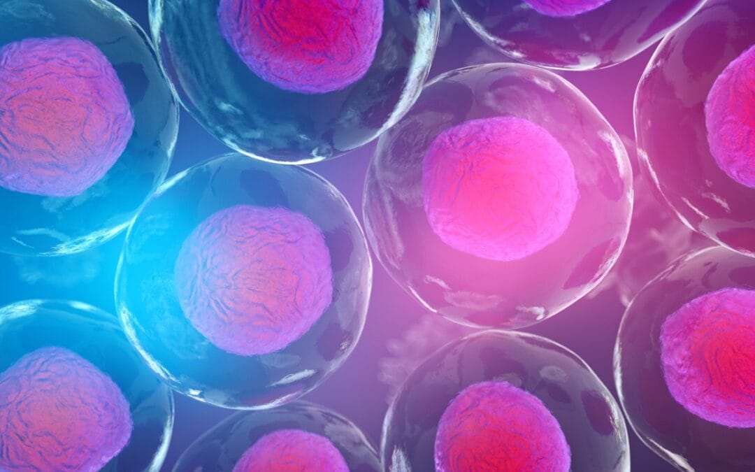 TB-500 & BPC-157 Blend Potential into Tissue-Regeneration Processes