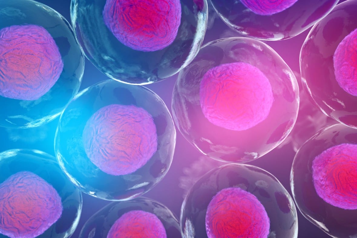 TB-500 & BPC-157 Blend Potential into Tissue-Regeneration Processes