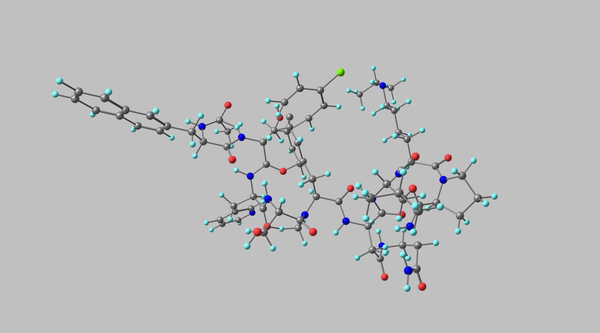 CJC-1295 & Ipamorelin Blend Interactions with The Pituitary Gland