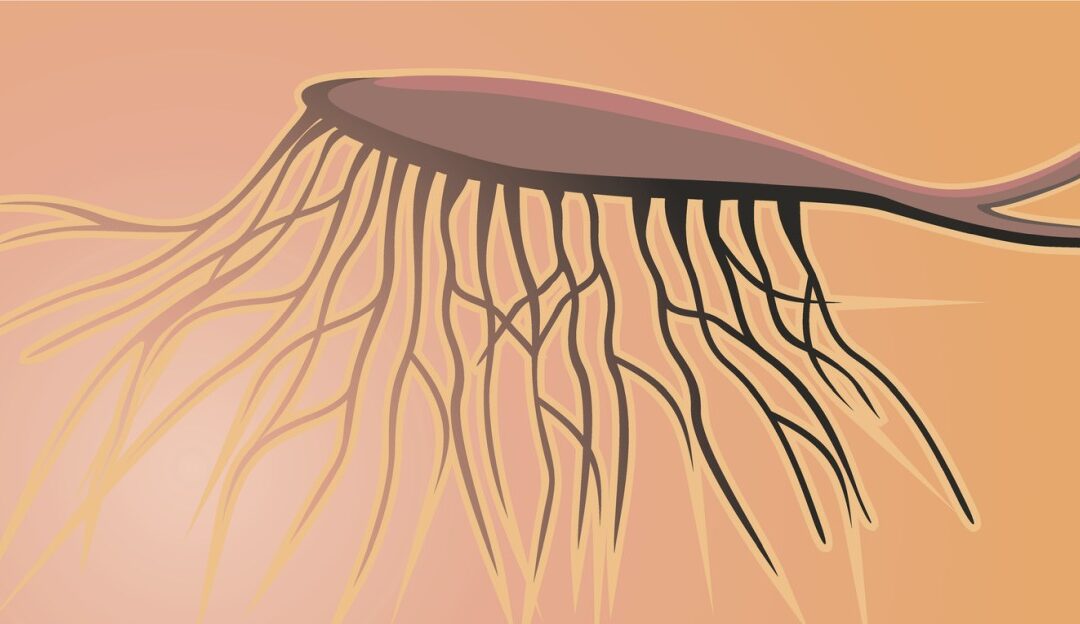 P021 Peptide: Neuroprotective and Neurotrophic Potential