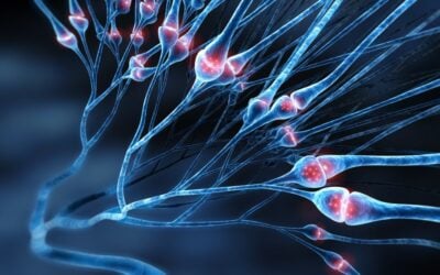 Selank Peptide: Potential Support for Neurotransmitters and Neurotrophins