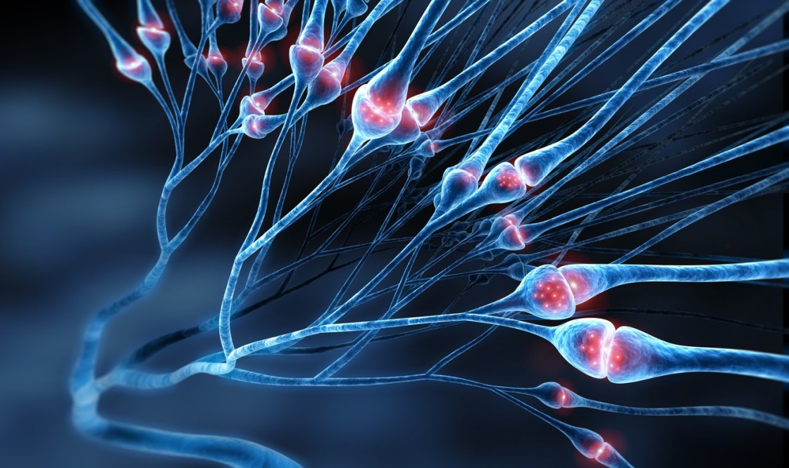 Selank Peptide: Potential Support for Neurotransmitters