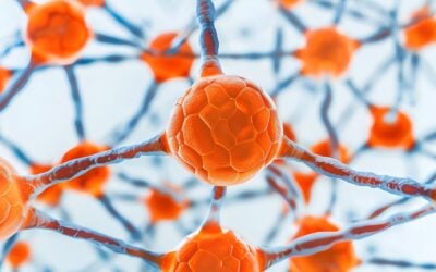The Neuroprotective and Gastroprotective Potential of Semax