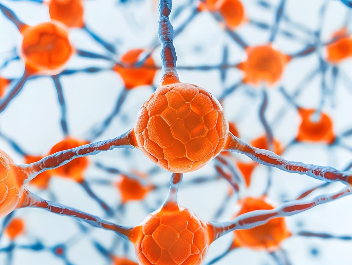 The Neuroprotective and Gastroprotective Potential of Semax