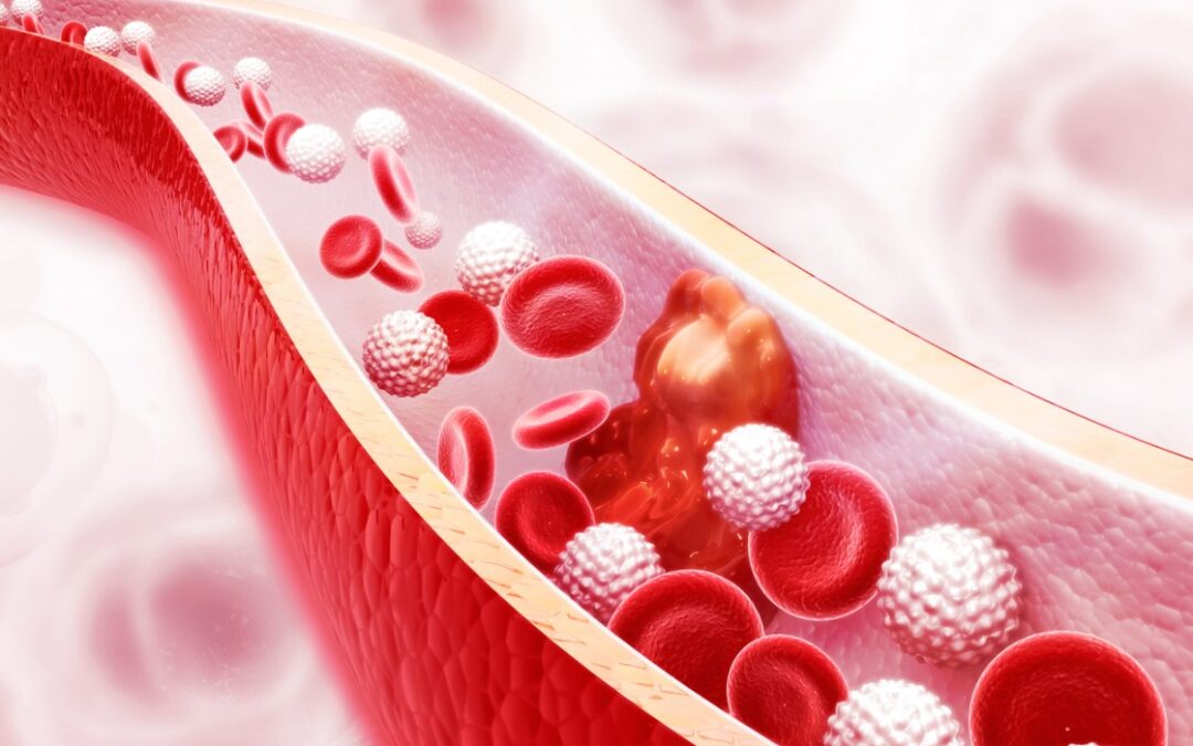 ACE-031 Actions on Muscle Cells, Bone Cells, and Fat Cells