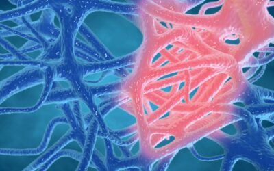 B7-33 Potential Actions on Inflammation and Fibrosis