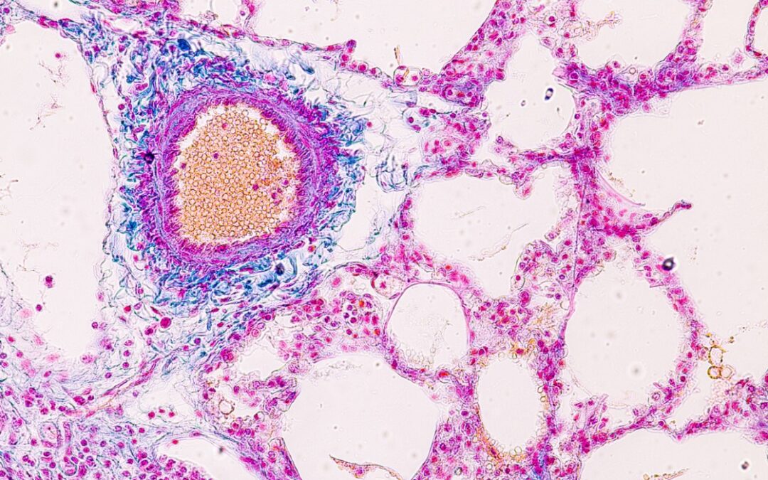 Ipamorelin’s Interactions with Pituitary Cell Sensitivity and Capacity for GH Pulsatility