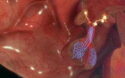 Triptorelin Research for Both Suppression and Stimulation of Pituitary-Gonadal Function