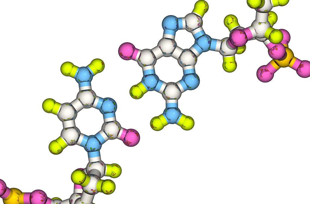 Cortagen’s Potential in Cellular Aging, Stress, and Regeneration