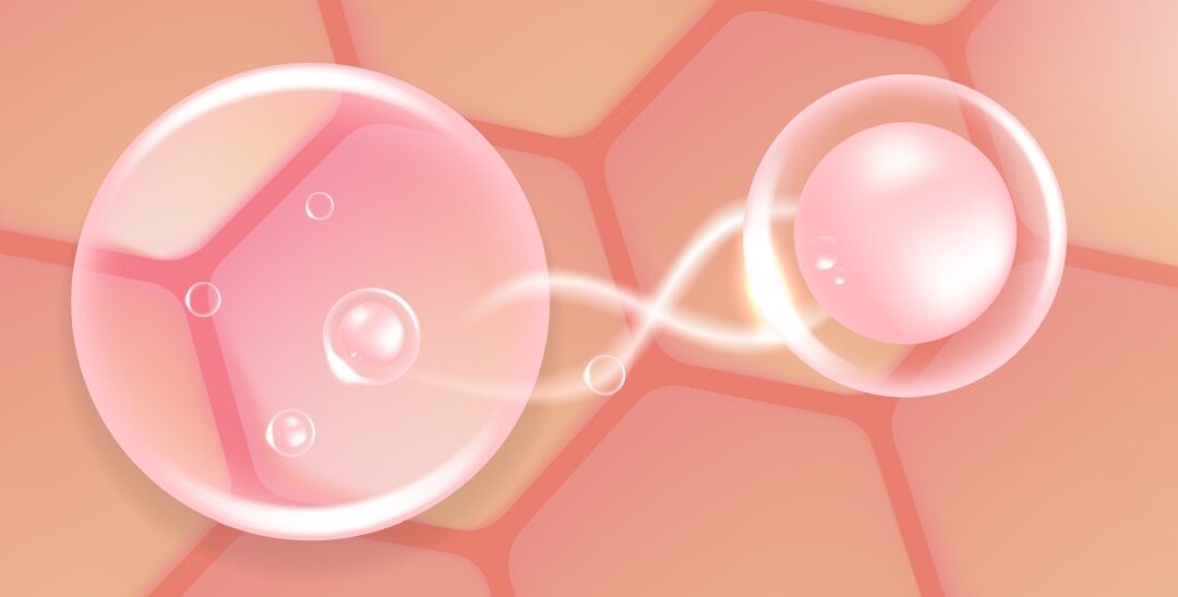 Ovagen Peptide’s Potential in Cellular Aging