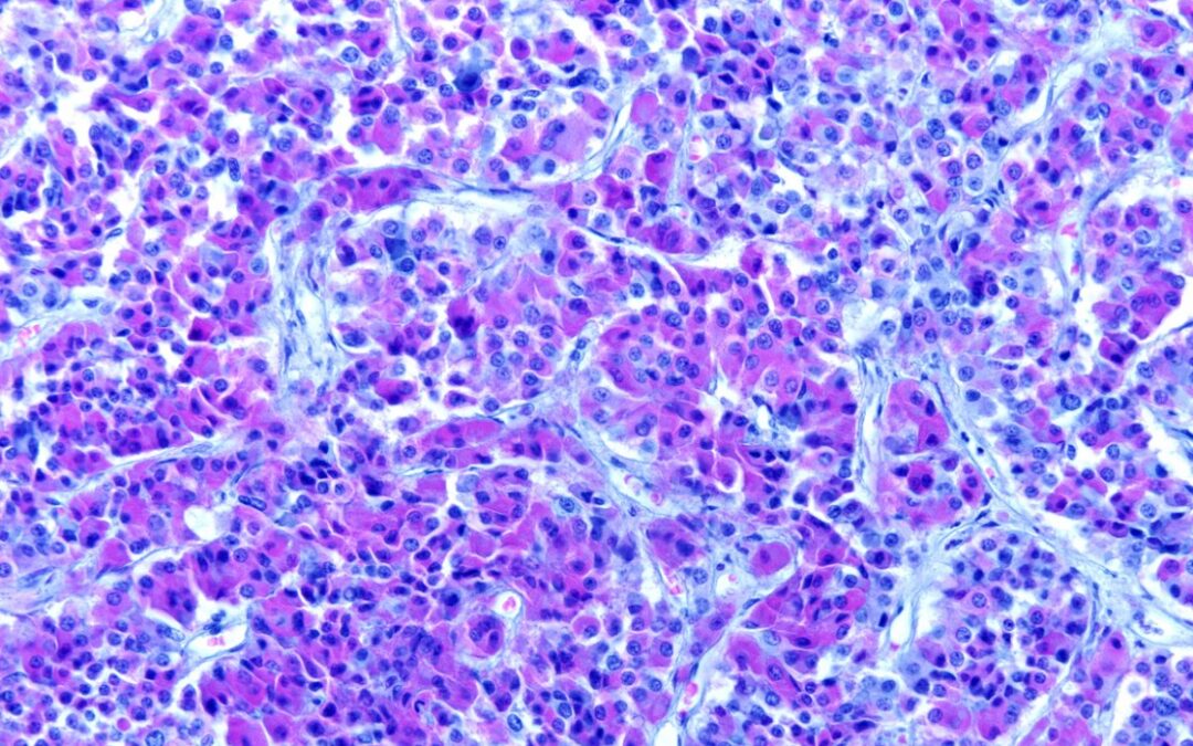 The Potential of Anabolism and Synergism in a Sermorelin & Ipamorelin Blend