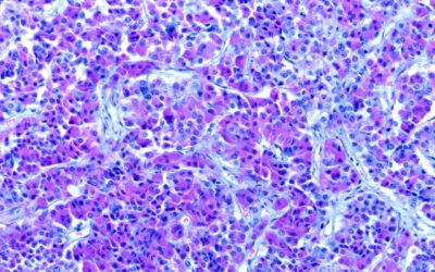 The Potential of Anabolism and Synergism in a Sermorelin & Ipamorelin Blend